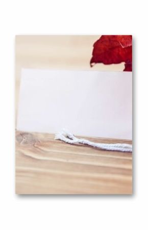 Price tag with maple leaf