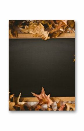 Black screen surrounded by brown leaf