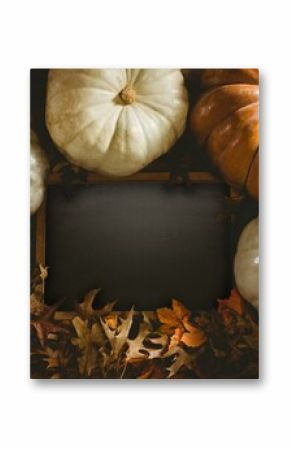 Diverse pumpkin surround black screen and leaf