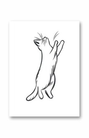 Whimsical Feline Delight: An adorable cat stands on its hind legs, reaching upwards with a playful expression, showcasing the charm and curiosity of domestic animals.