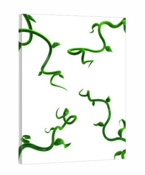 Plant Vines Green, Leaf Four Twisting