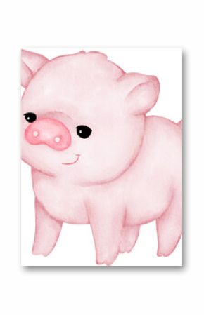 dwarf pig illustration