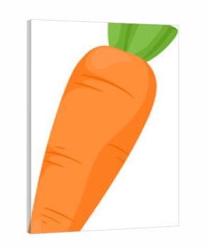 illustration carrot