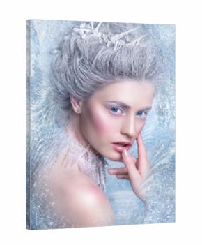 Snow Queen.Fantasy girl portrait. Winter fairy portrait.Young woman with creative silver artistic make-up. Winter Portrait.