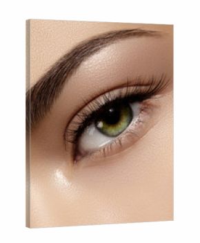 Perfect shape of eyebrows, brown eyeshadows and long eyelashes. Closeup macro shot of fashion smoky eyes visage