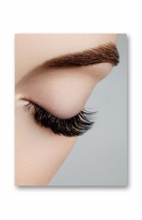 Beautiful macro shot of female eye with extreme long eyelashes and black liner makeup. Perfect shape make-up and long lashes. Cosmetics and make-up. Closeup macro shot of fashion eyes visage