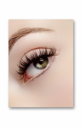 Beautiful macro shot of female eye with extreme long eyelashes and black liner makeup. Perfect shape make-up and long lashes. Cosmetics and make-up. Closeup macro shot of fashion eyes visage
