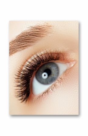 Beautiful macro shot of female eye with extreme long eyelashes and natural makeup. Perfect shape make-up and long lashes. Cosmetics and make-up. Closeup macro shot of fashion eyes visage