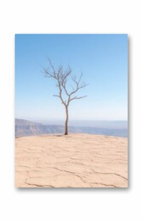 Solitary Tree on Arid Landscape Under Clear Blue Sky