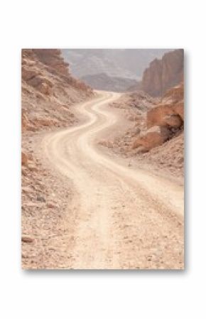 Winding Desert Road Through a Sandy Canyon