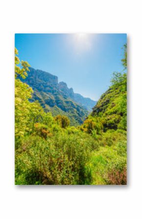 Vikos Gorge view from village vikos, a gorge in the Pindus Mountains of northern Greece