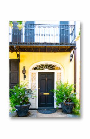 elegant vintage door in an old house.