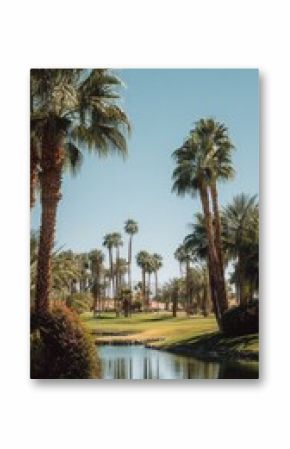 Scenic View of Palm Trees and Serene Waterway at a Golf Course in Warm Sunlight