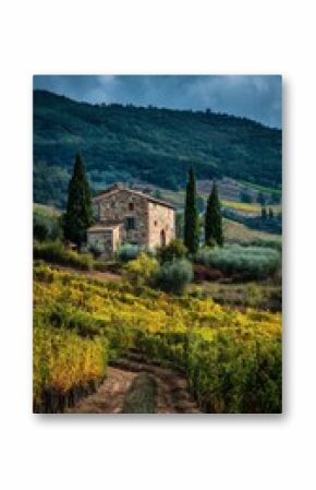 Rolling Vineyards Surround a Rustic Stone House With Lush Green Hills Under Cloudy Sky in Tuscany