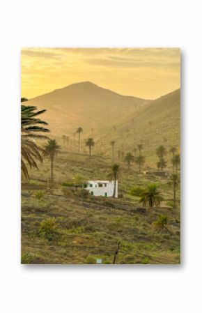 Traditional white rural house stands peacefully among palm trees in a lush volcanic valley at sunrise. Golden morning mist and mountain backdrop create a dreamy and serene setting on Lanzarote island.