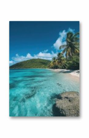 Tropical beach with palm trees and turquoise water in ocean. Paradise island on a sunny day. Trip, travel and vacation concept
