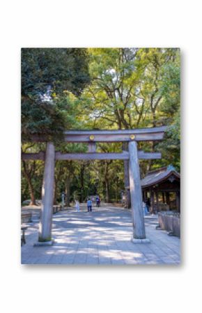 Torii gate, leads to paths around Meiji Jingu Shrine, Shibuya, Tokyo, Japan