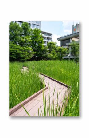 Wooden walkway through tall grass in Tennoji Park, Osaka