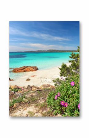 Palombaggia beach corsica, most beautiful beach on the island of Corsica, France