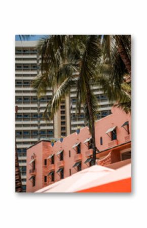 Honolulu, Hawaii Pink Hotel with Palm Trees