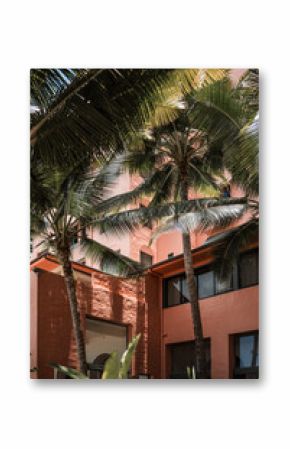 Honolulu, Hawaii Pink Hotel with Palm Trees