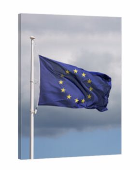 Europa - Flagge im Wind 01