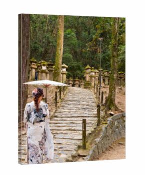 Japanese woman wearing japanese traditional kimono - Kasuga taisha shrine row of stone lanterns on road street covered in green moss by forest trees in spring
