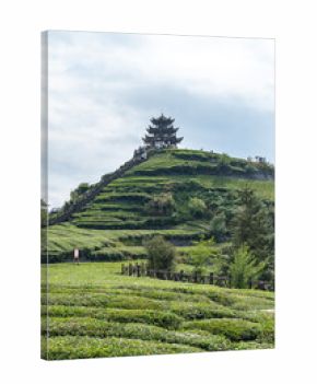 A traditional Chinese pagoda stands atop a lush green tea plantation on a terraced hillside in Enshi City, China, under a partly cloudy sky.