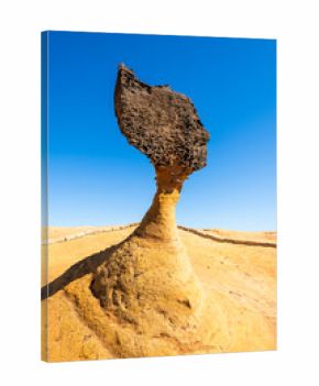 Beautiful Queen's Head of the Yehliu Geopark. Yehliu is a cape in Wanli of New Taipei City, Taiwan.