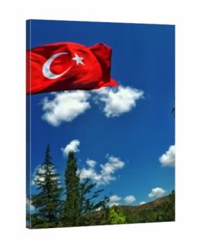 Turkish national flag waving proudly under clear blue sky with white clouds and pine trees, symbol of patriotism, unity, and freedom in nature landscape, Türkiye identity and national pride