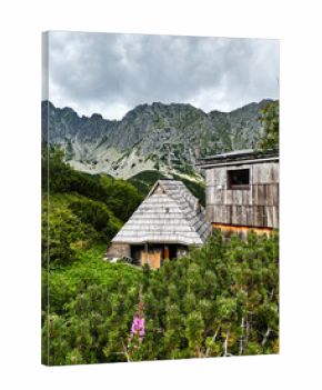 Scenic mountain huts in Zakopane Poland surrounded by lush greenery and rugged peaks