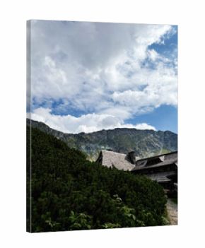 Mountainside village in Zakopane Poland with wooden chalet and lush green shrubs under dramatic sky