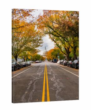 Dramatic fall sky over the U.S. Capitol with colorful trees in foreground