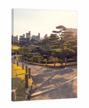 Traditional Japanese Garden with Arched Wooden Bridge and Scenic Landscape