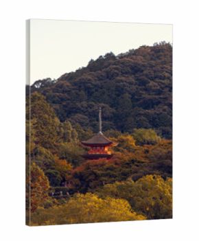 Red Pagoda Surrounded by Autumn Forest in Kyoto, Japan