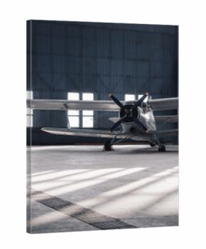 Front view of an old propeller aircraft in a hangar. White biplane aircraft in roomy sunlit hangar.