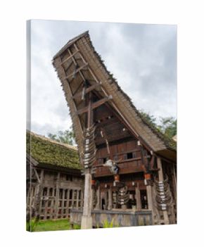 Traditional Tongkonan Toraja house, Sulawesi, Indonesia