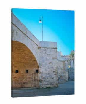 Turia garden park and Serranos bridge in Valencia, Spain