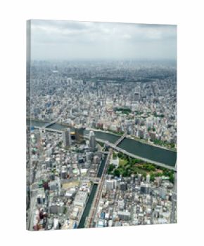 Aerial view of central Tokyo cityscape in Japan