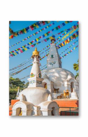 buddha stupa in nepal