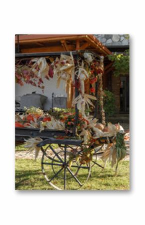 Charming and Inviting Outdoor Market Display Featuring a Beautiful Collection of Dried Plants