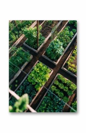 Aerial View of Raised Garden Beds With Various Vegetables, Showcasing Sustainable Living and Organic Food Production for Healthy Lifestyle Choices : Generative AI