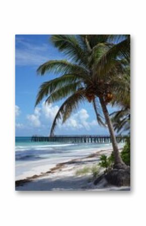 Sunny Beach View With Palm Trees and a Wooden Pier in the Distance on a Clear Day.