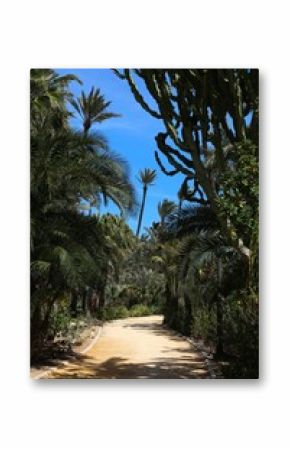 Alicante, Spain - El Palmeral public park