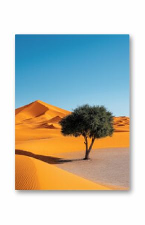 A tree is standing in the desert with a blue sky in the background. The desert is orange and the tree is green