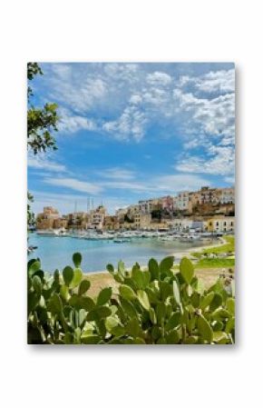 View of the coast of the mediterranean sea with port and architecture of village in Sicily. Beautiful view with green cactus and sky. Castellammare del Golfo.