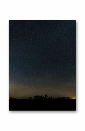The beautiful night sky, full of stars, in Big Cypress National Preserve.