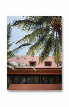 Honolulu, Hawaii Pink Hotel with Palm Trees