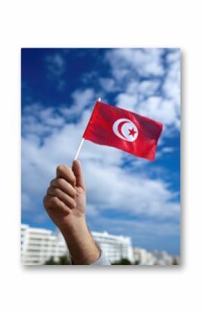 Tunisia festive scene: national symbol, joyful citizen, cultural celebration, historic memory, Carthage music, Tozeur harvest, proud tradition, republic spirit, coastal heritage, freedom pride unity