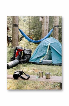Camping setup in a lush forest with tents, hammocks, and gear during daytime